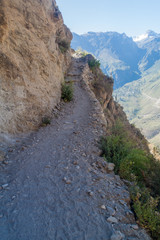 Fototapeta na wymiar Trekking trail in Colca canyon, Peru