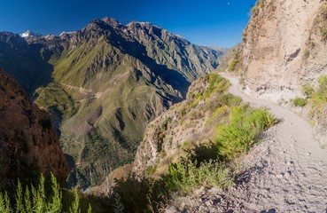 Trekking trail in Colca canyon, Peru