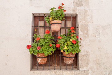 Fototapeta na wymiar Window with flowers in Santa Catalina monastery in Arequipa, Peru