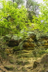 Bluffs at Starved Rock State Park