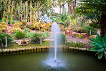 Fountain in the Botanical Gardens of El Huerto del Cura in Elche near Alicante in Spain.