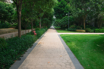 pathway in outdoor of a residential building