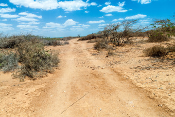 Road in La Guajira desert in Colombia.