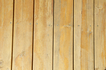 Plank, close-up