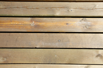 Plank, close-up