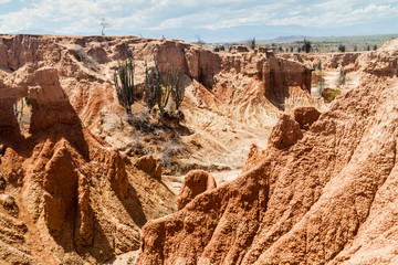 Orange rock formations of Tatacoa desert, Colombia