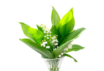 Bouquet of lily of the valley in a vase