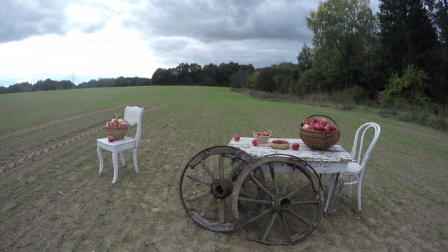 Two white wooden chairs and a table with apples in wicker baskets with two antique wheels made of wood in clay soil field by the forest in overcast autumn day, time lapse 4K