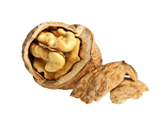 Dried walnuts isolated on white background