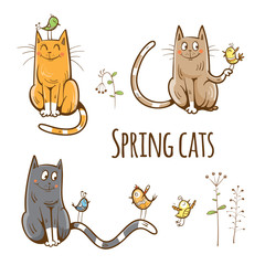 Spring cartoon cats set. Cats are on friendly terms with birds. Vector image.