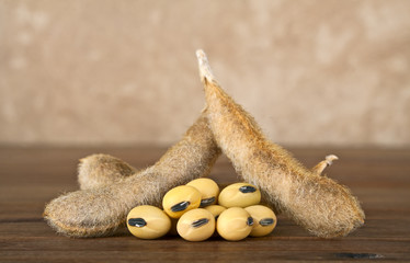Soy pods on wooden background