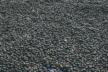 dried berries coffee with filter effect retro vintage style