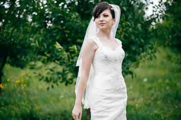 Groom and bride together. Wedding couple