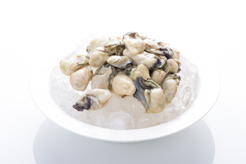 oysters