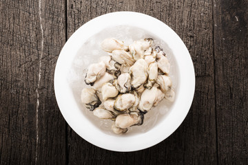oysters