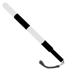 Police stick