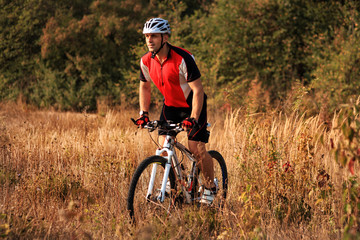 Man is cycling in autumn forest