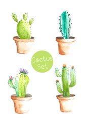 Foto auf Acrylglas Kaktus im Topf Kaktus im Topf Set