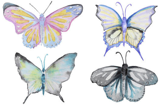 Set of watercolor butterfly