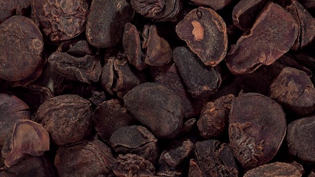 Rotating Kola Nuts as not loopable 4K UHD footage