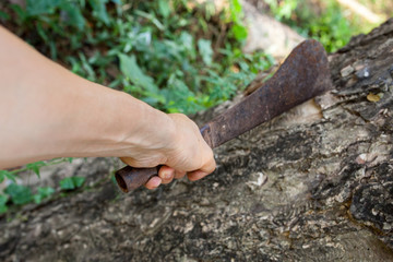 old big knife for cut wooden in the jungle