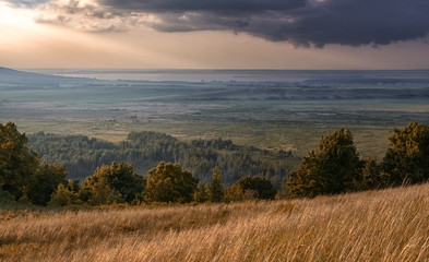 Valley of Wild ForestTrees Grass Fields and Rain Clouds