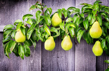 pears