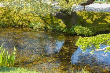 庭園11（兼六園・石川県）