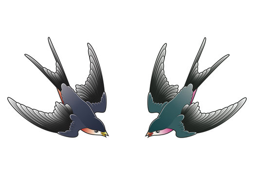 two swallows
