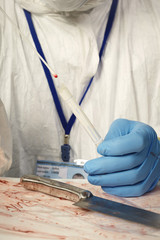 Working on DNA forensic tests