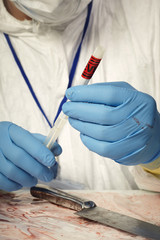 Criminologist technician collecting DNA for tests