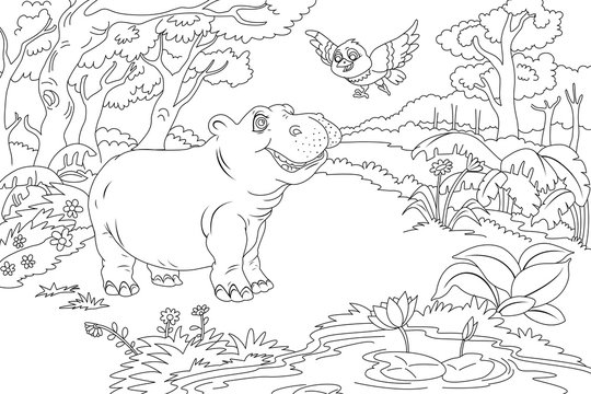 Line Art / Coloring Book Illustration for Children: Hippo and Bird. Realistic Fantastic Cartoon Style Artwork Scene, Wallpaper, Story Background, Card Design