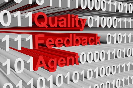 Quality Feedback Agent is presented in the form of binary code