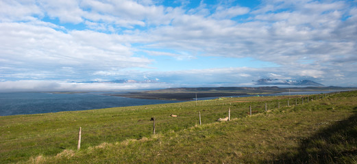 Fototapeta na wymiar Vatnsnes peninsula, Iceland
