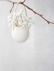 Bunch of of white baby's breath flowers (gypsophila) in egg shell on the white wooden plank....