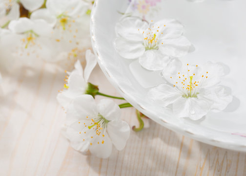 Floating flowers ( Cherry blossom) in white bowl. Focus on near flower