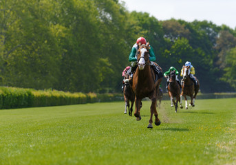 Several racehorses with jockeys during a horse race