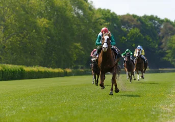 Fototapete Reiten Mehrere Rennpferde mit Jockeys bei einem Pferderennen