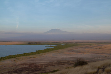Fototapeta na wymiar Amboseli National Park is a sanctuary of elephants near mount kilimanjaro