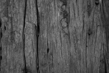 Wood which has been slowly decompose naturally.