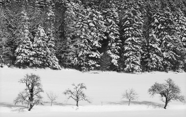 winter im Schwarzwald