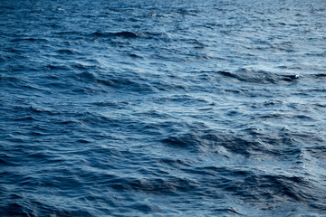 Blue sea surface with waves