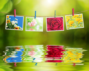 Flowers photo hanging on clothesline on nature background reflection in water.