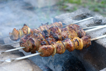 Roasted shish kebab