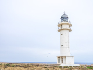 Fototapeta na wymiar Cap de Barbaria Lighthouse