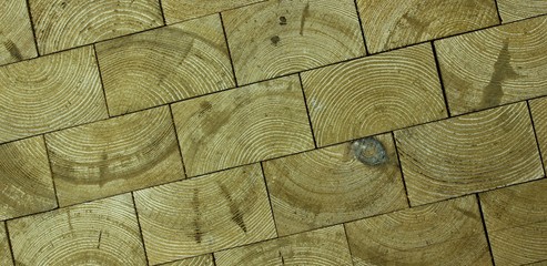 Wooden floor showing annual rings in the tree