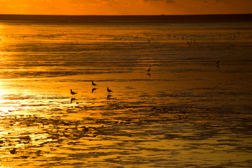 Sonnenuntergang an der Nordsee