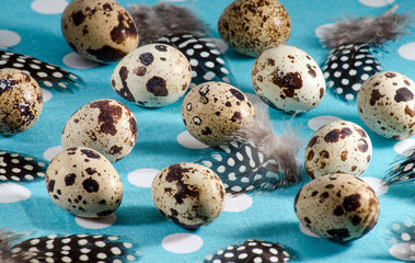 Quail eggs and feathers on blue tablecloth