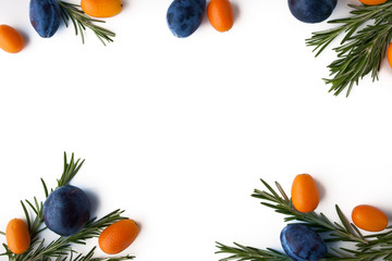 Frame of rosemary , kumquat and plums on the white background