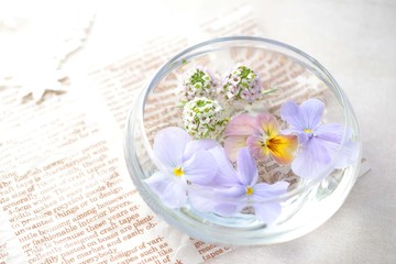 水に浮かべたビオラとアリッサム